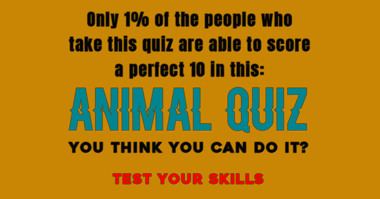 Animal Trivia