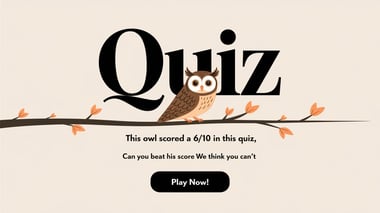 General Knowledge Quiz