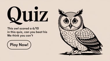 General Knowledge Quiz