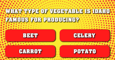 General Knowledge Trivia