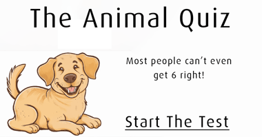 Animal Trivia